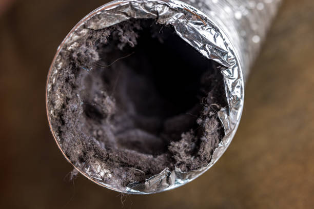 Best Duct Cleaning for Homes  in USA